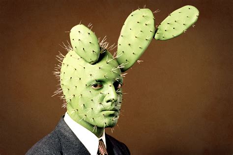 Cactus man. Things To Know About Cactus man. 